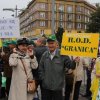 Manifestacja Działkowców w Szczecinie w dniu 20.09.2013r.